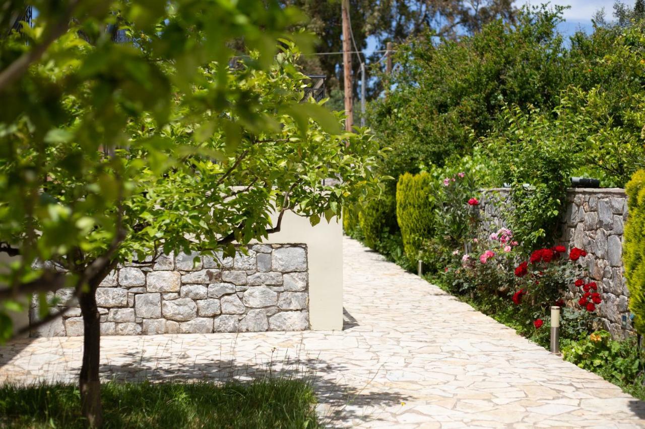 Hotel Aphrodite Stoúpa Eksteriør billede